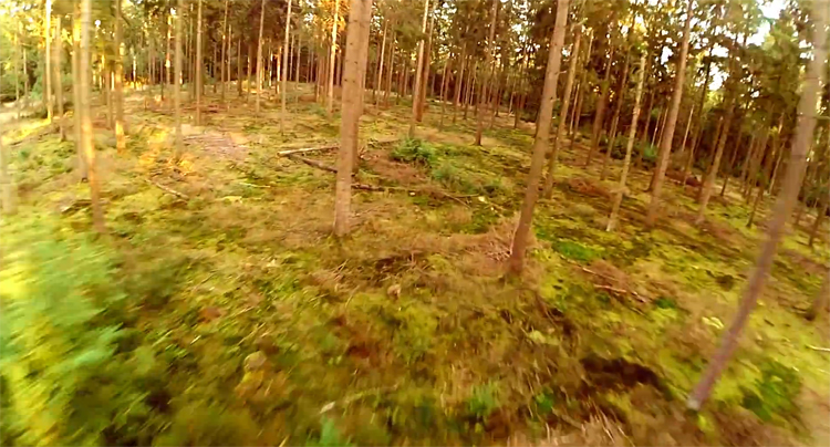 Raymon FPV vliegt op hoge snelheid door het bos